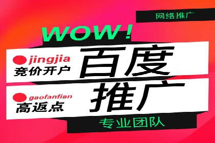 百度推广代运营成功案例解析